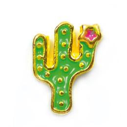 Charm cactus